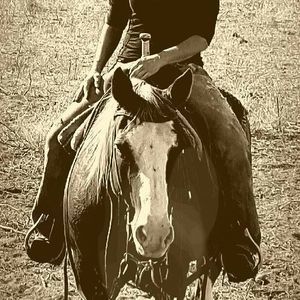 Meet your Posher, Jan